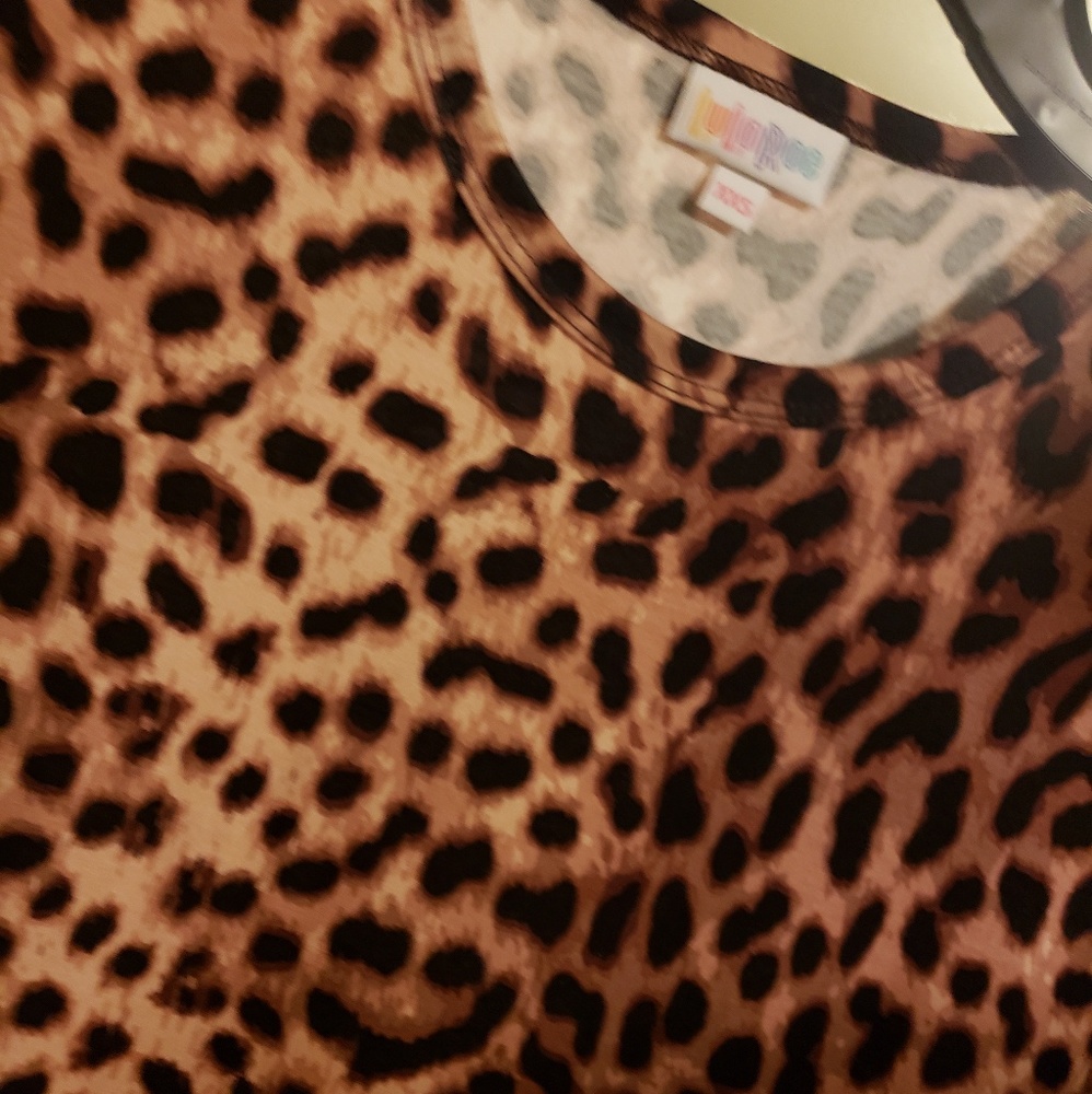 NWT Lularoe Maria Cheeta print 🦄unicorn🦄